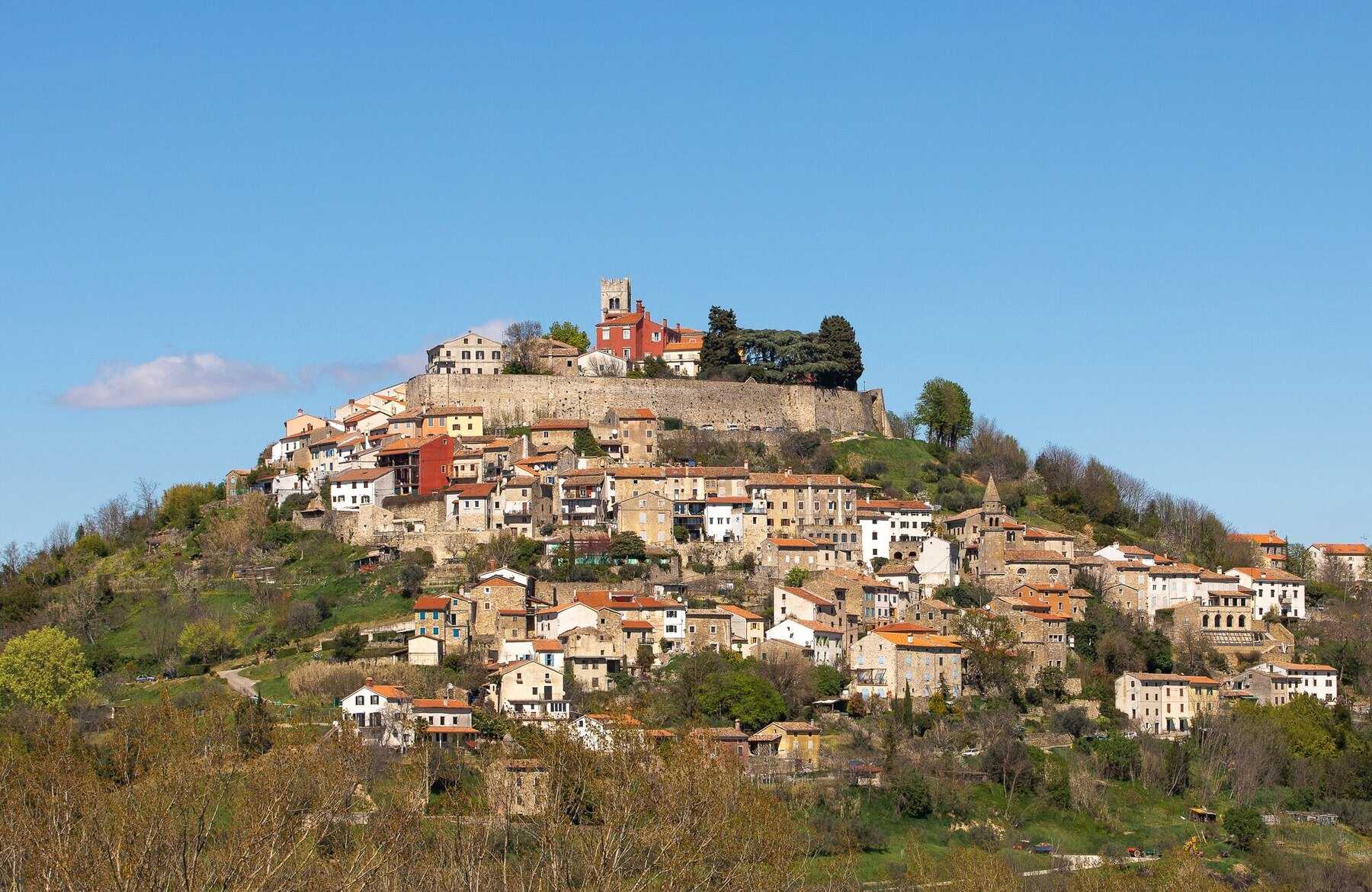 Le village perché de Motovun, en Istrie, au-dessus des vignes et des arbres en feuilles au début du printemps